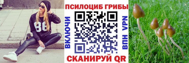 Псилоцибиновые грибы Magic Shrooms  Удачный 